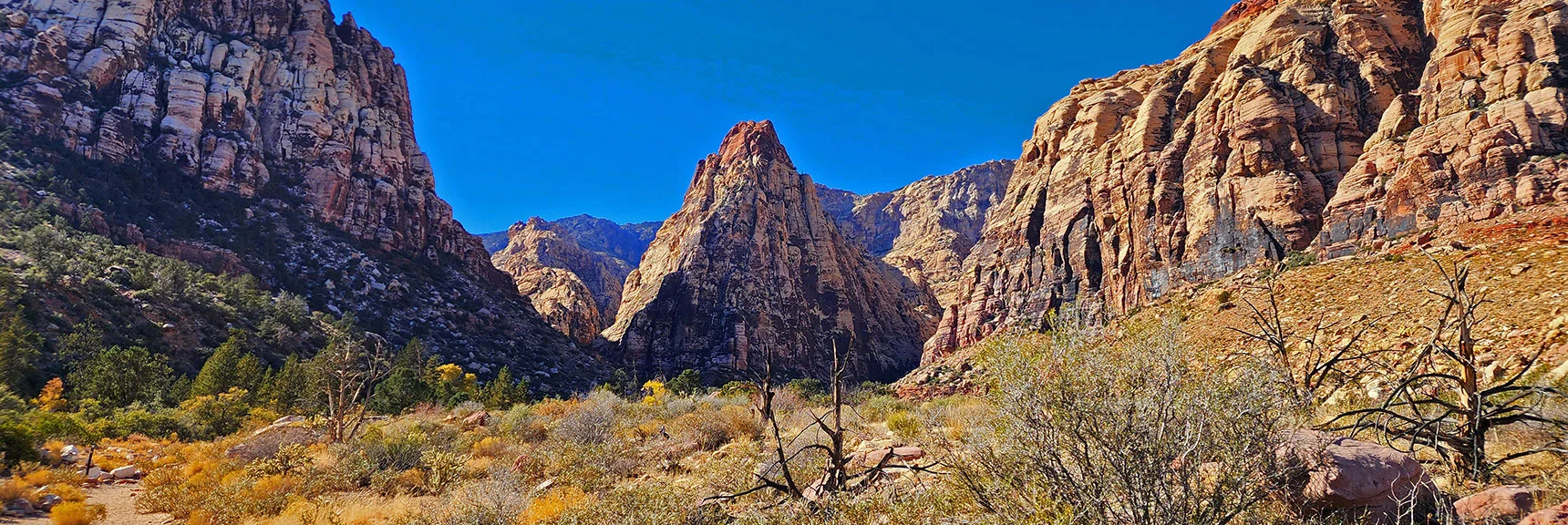 View Back up Pine Creek Canyon. | Rock Climber Observations | Pine Creek Canyon | Rainbow Mountain Wilderness, Nevada