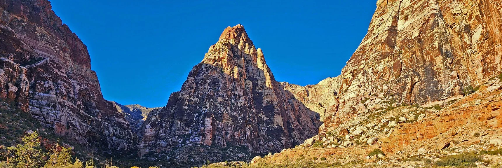 Will Begin by Taking the Right (North) Branch of Pine Creek Canyon. Main Climber's Approach. | Rock Climber Observations | Pine Creek Canyon | Rainbow Mountain Wilderness, Nevada