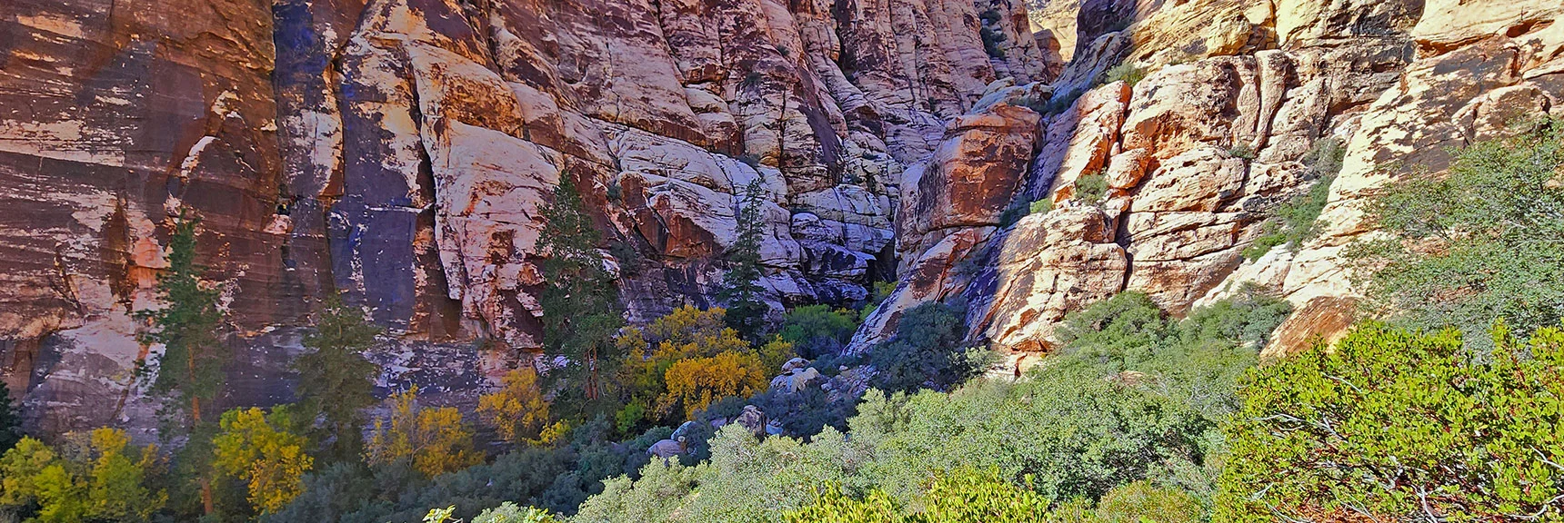 Rock Climbers Ascend These Vertical Walls: Mescalito Pyramid (Left); Bridge Mt. (Right) | Rock Climber Observations | Pine Creek Canyon | Rainbow Mountain Wilderness, Nevada
