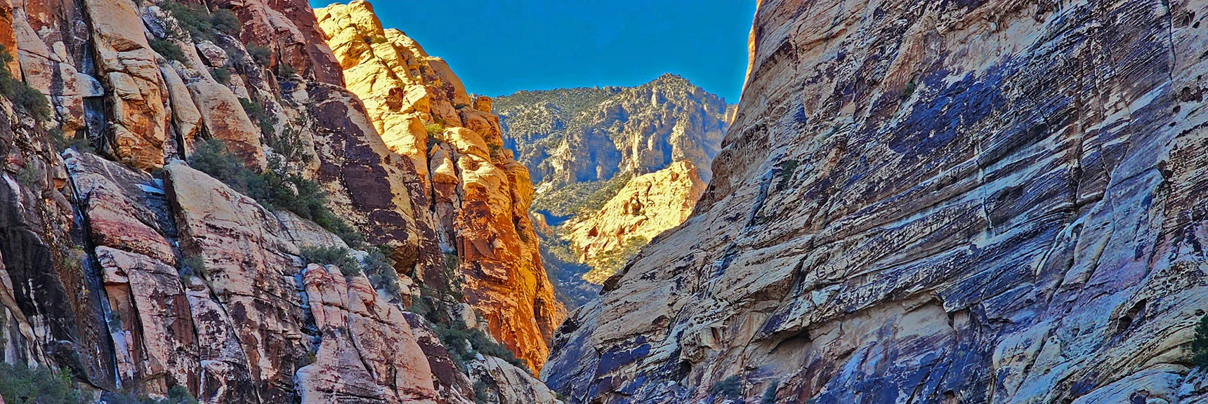 Ascent to Upper Crest Ridgeline Looks More Friendly Here, but How to Navigate the Brush?! | Rock Climber Observations | Pine Creek Canyon | Rainbow Mountain Wilderness, Nevada