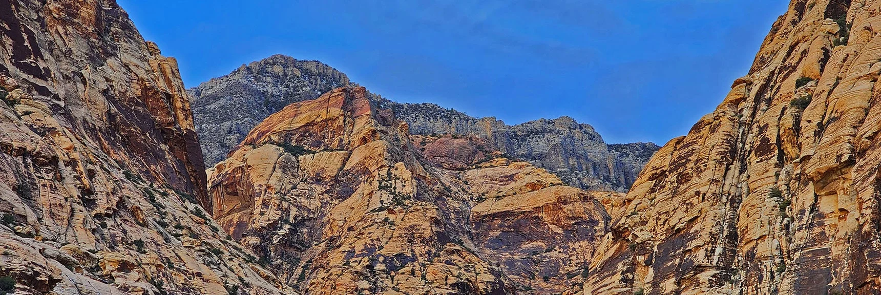 First Creek Overlook Cliffs Tower Above the Upper End of the Canyon | Oak Creek Canyon North Branch Toward Rainbow Mountains Upper Crest Ridgeline | Rainbow Mountain Wilderness, Nevada