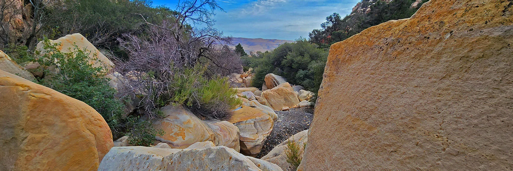 All Boulders in the Canyon Once Fell from the Cliffs Above! | Oak Creek Canyon North Branch Toward Rainbow Mountains Upper Crest Ridgeline | Rainbow Mountain Wilderness, Nevada