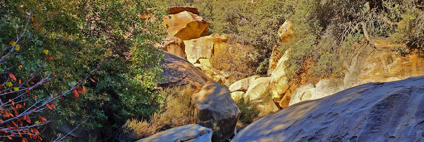 More Boulders Continuing Up the North Canyon Branch | Oak Creek Canyon North Branch Toward Rainbow Mountains Upper Crest Ridgeline | Rainbow Mountain Wilderness, Nevada