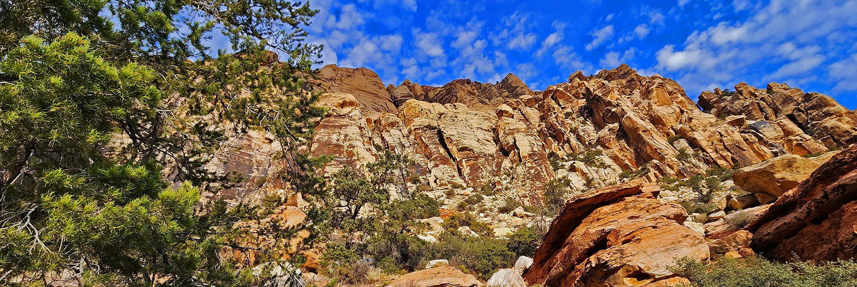 Beautiful Terrain with Red Rock and Pines | Oak Creek Canyon North Branch Toward Rainbow Mountains Upper Crest Ridgeline | Rainbow Mountain Wilderness, Nevada