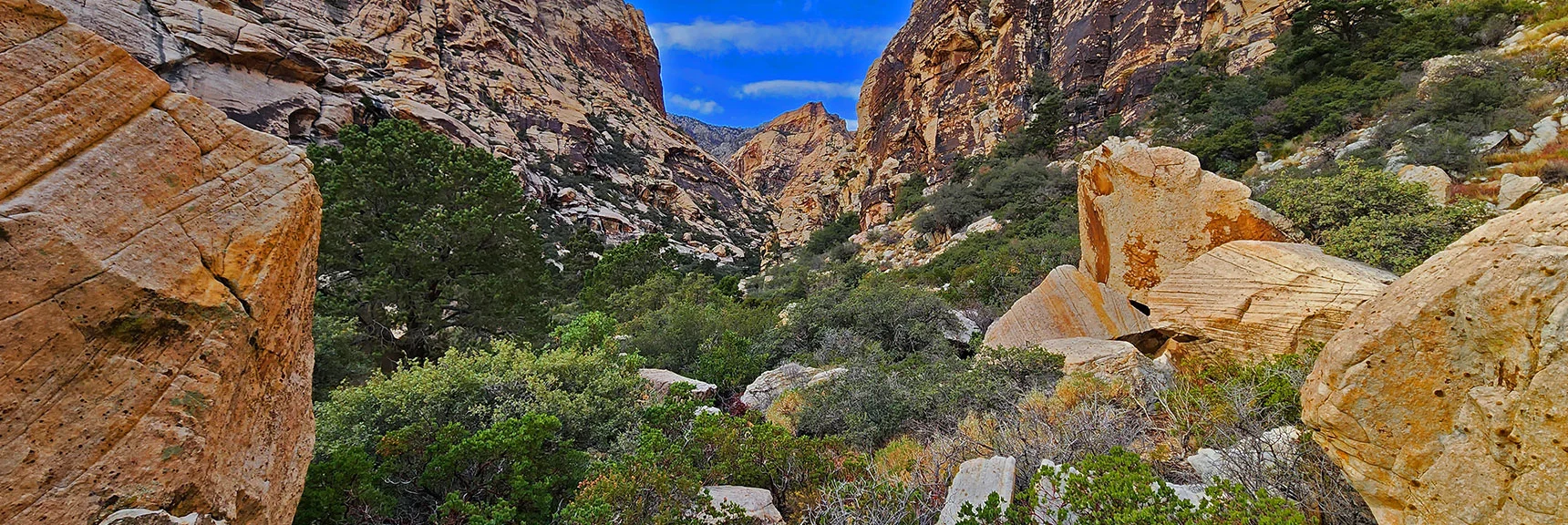 Descend into Brush and Boulders of the Canyon Base as it Narrows | Oak Creek Canyon North Branch Toward Rainbow Mountains Upper Crest Ridgeline | Rainbow Mountain Wilderness, Nevada