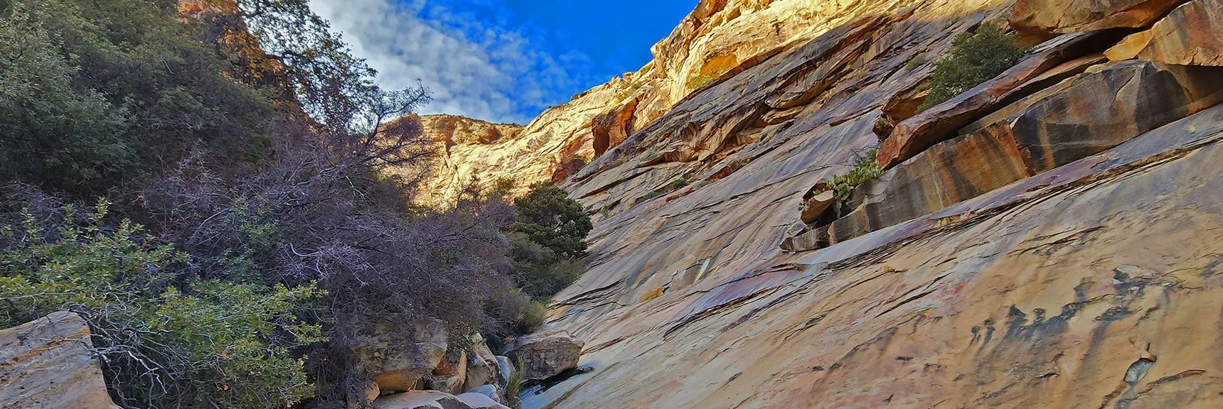 Continuing Up the North Branch. Rock Slabs Provide Brief Respite from Boulders and Brush | Oak Creek Canyon North Branch Toward Rainbow Mountains Upper Crest Ridgeline | Rainbow Mountain Wilderness, Nevada