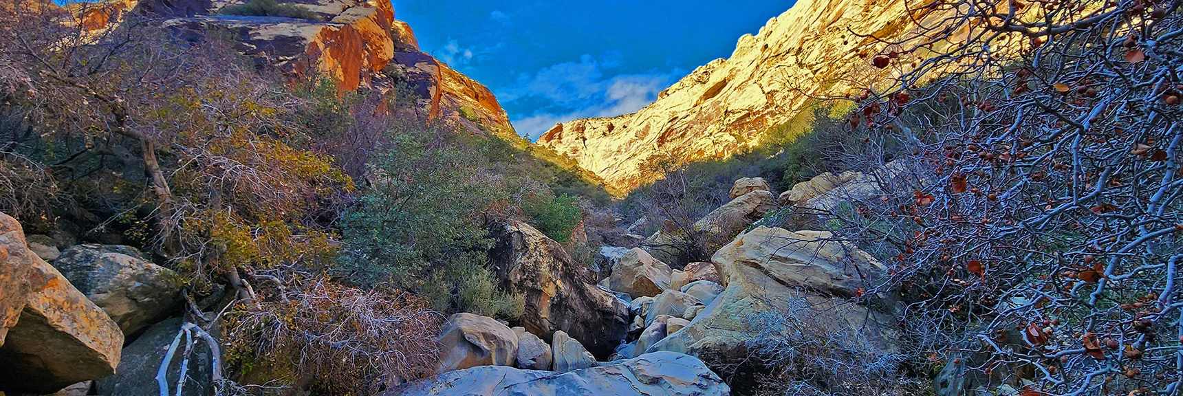 Taking the North (Right) Branch. South (Left) Branch May be More Direct | Oak Creek Canyon North Branch Toward Rainbow Mountains Upper Crest Ridgeline | Rainbow Mountain Wilderness, Nevada