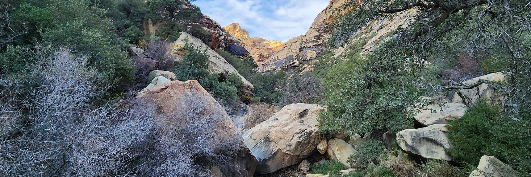 Test Various Pathways to Find the One That Moves You Past Barriers on Each Stretch | Oak Creek Canyon North Branch Toward Rainbow Mountains Upper Crest Ridgeline | Rainbow Mountain Wilderness, Nevada