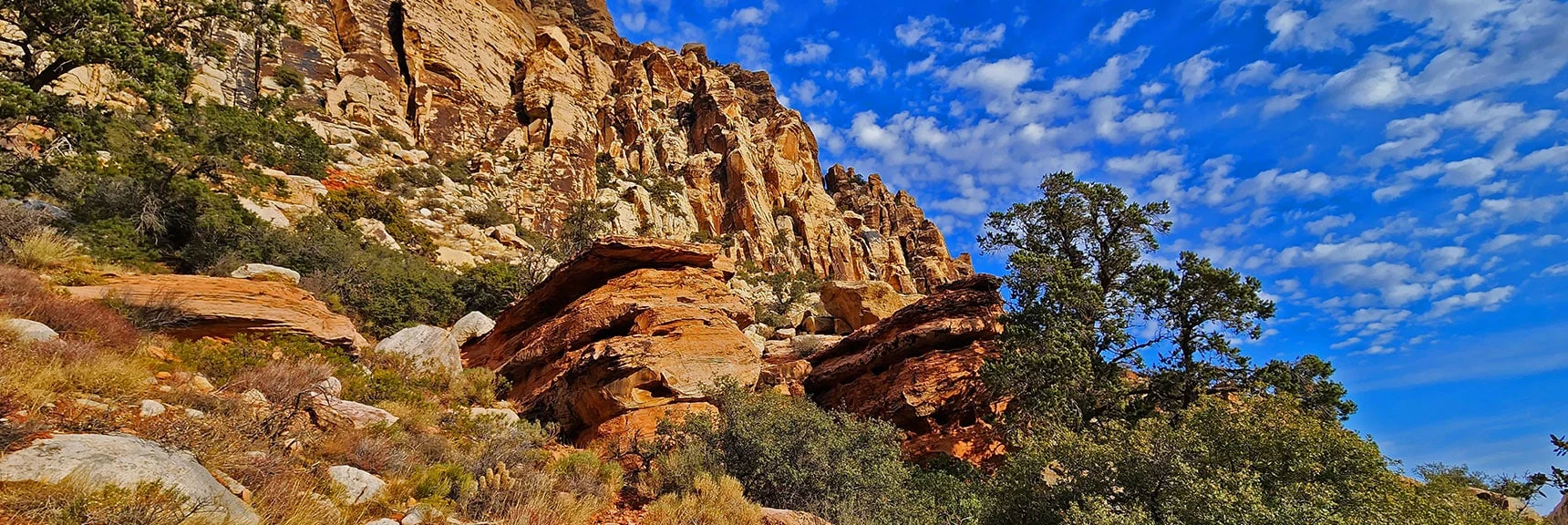 This Could Be a Painting. View Along Rainbow Mountain Toward Canyon Entrance | Oak Creek Canyon North Branch Toward Rainbow Mountains Upper Crest Ridgeline | Rainbow Mountain Wilderness, Nevada