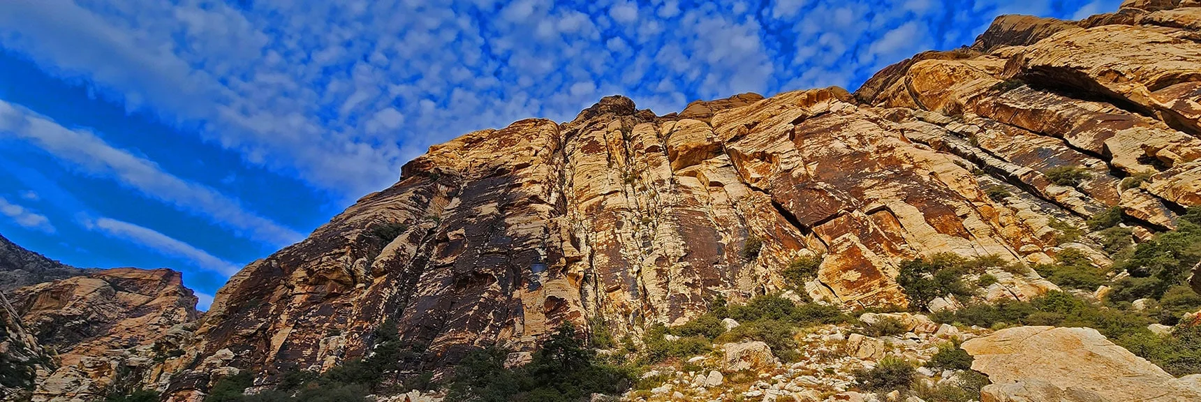 Rainbow Mountain's Cliffs Lining the Mid to Upper Canyon | Oak Creek Canyon North Branch Toward Rainbow Mountains Upper Crest Ridgeline | Rainbow Mountain Wilderness, Nevada