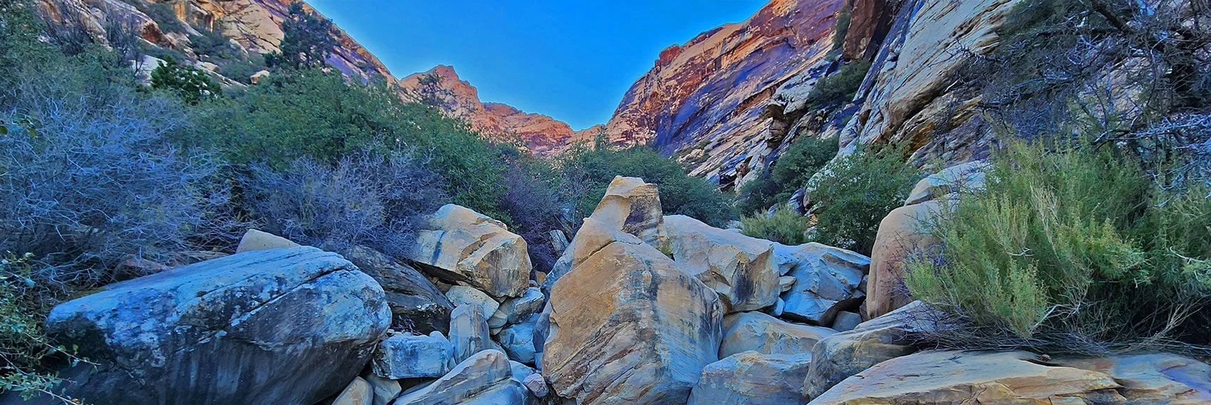 More Huge Boulders Ahead. We're At the Turn-Around Point 2/3rds Up the Canyon | Oak Creek Canyon North Branch Toward Rainbow Mountains Upper Crest Ridgeline | Rainbow Mountain Wilderness, Nevada