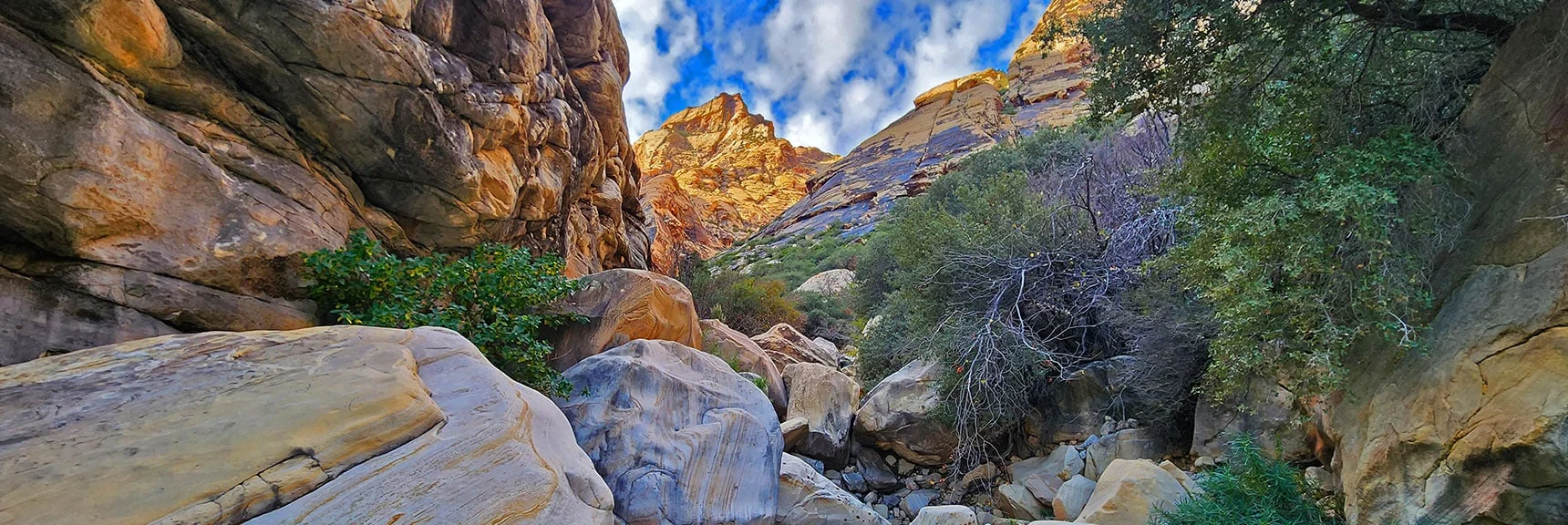 The Pointy Mountain Ahead Marks the Canyon Split. More Boulders to Navigate. | Oak Creek Canyon North Branch Toward Rainbow Mountains Upper Crest Ridgeline | Rainbow Mountain Wilderness, Nevada