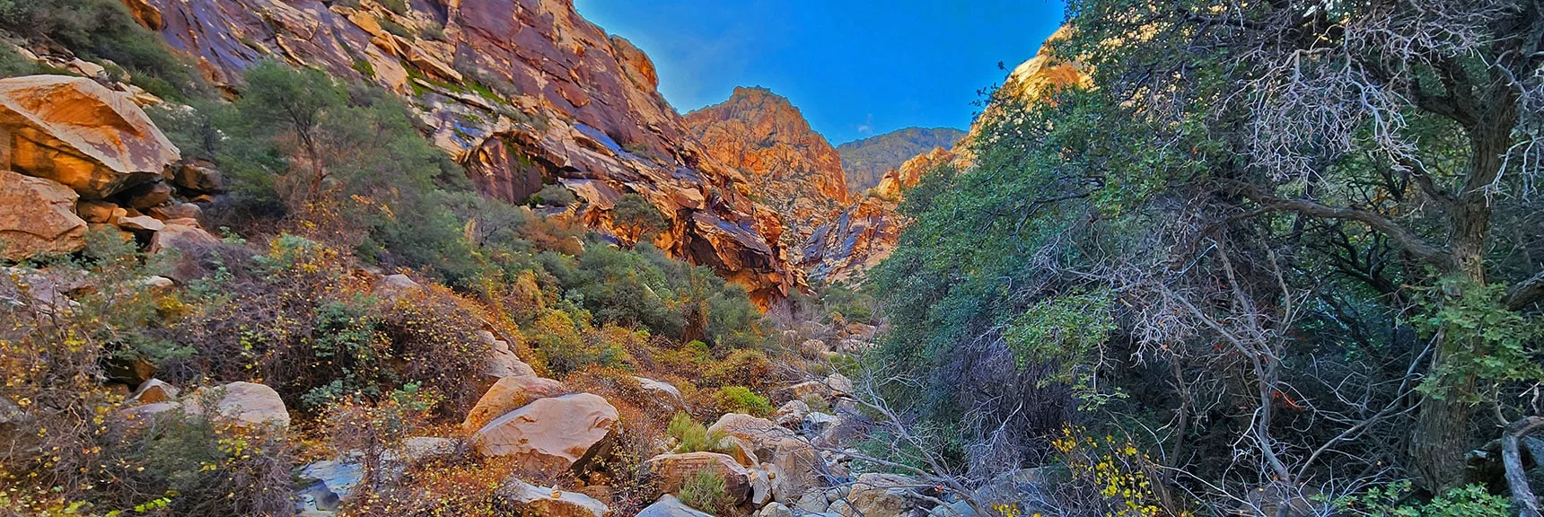 One Brief Easier Stretch. More Challenging Once You're in it. | Oak Creek Canyon North Branch Toward Rainbow Mountains Upper Crest Ridgeline | Rainbow Mountain Wilderness, Nevada