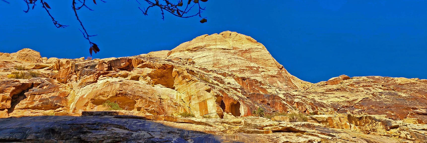 No Boulders Above, But Far More Vertical | Oak Creek Canyon North Branch Toward Rainbow Mountains Upper Crest Ridgeline | Rainbow Mountain Wilderness, Nevada