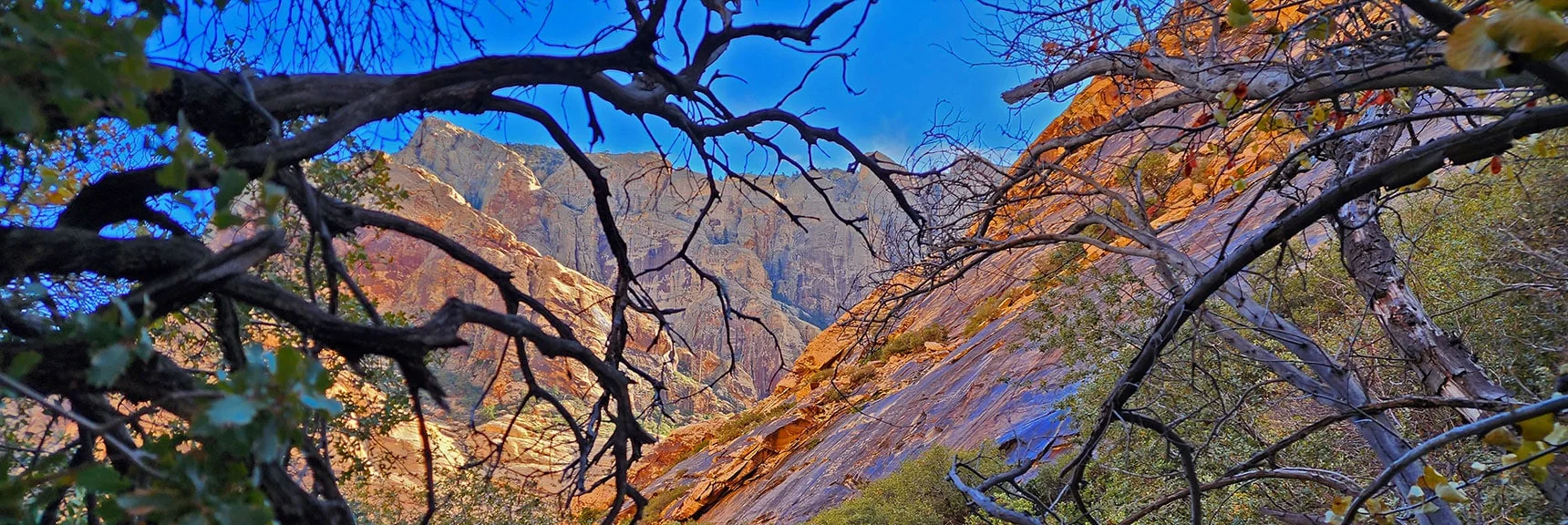 Back Side of Mt. Wilson Along the South Canyon Branch | Oak Creek Canyon North Branch Toward Rainbow Mountains Upper Crest Ridgeline | Rainbow Mountain Wilderness, Nevada