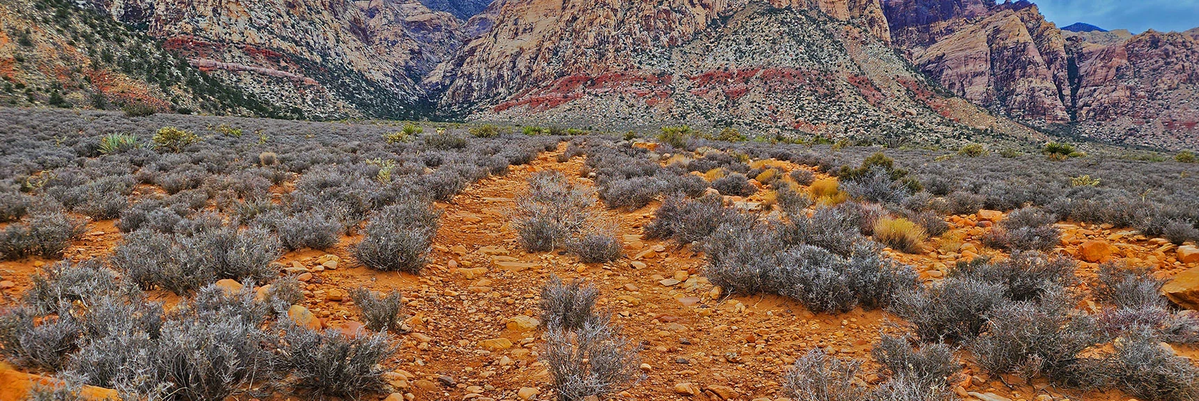 Middle Oak Creek Trail May Once Have Been a Road | Oak Creek Canyon North Branch Toward Rainbow Mountains Upper Crest Ridgeline | Rainbow Mountain Wilderness, Nevada
