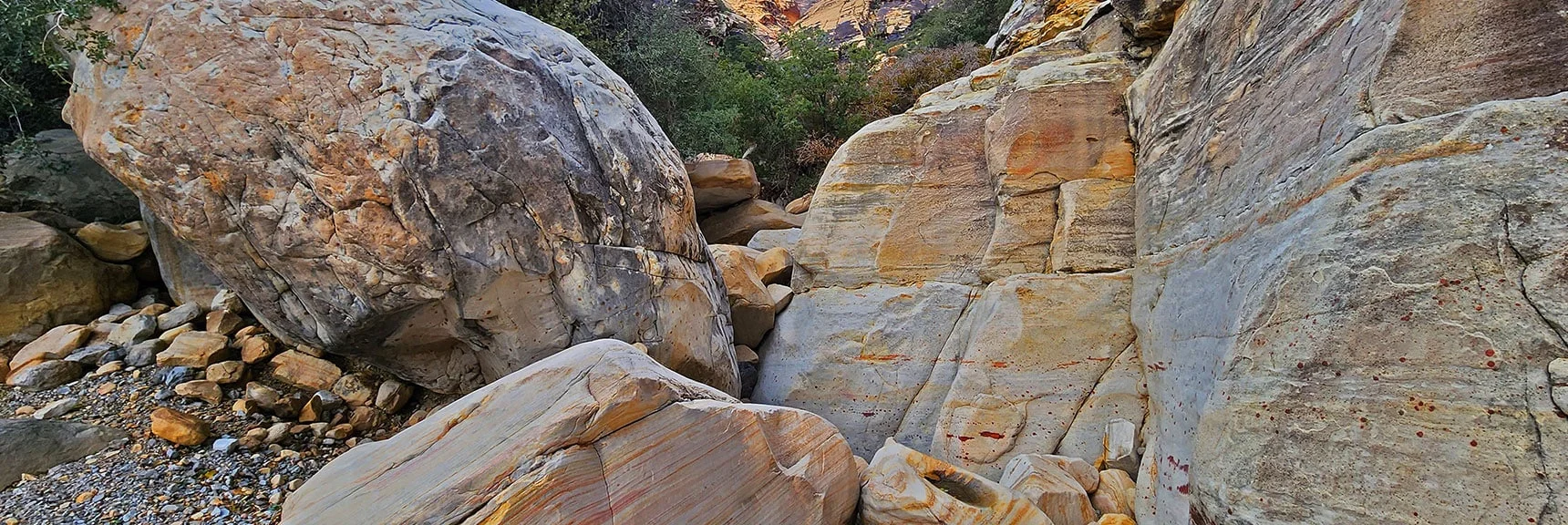 Now Begins the Boulder and Brush Navigation Rising to Each New Level | Oak Creek Canyon North Branch Toward Rainbow Mountains Upper Crest Ridgeline | Rainbow Mountain Wilderness, Nevada