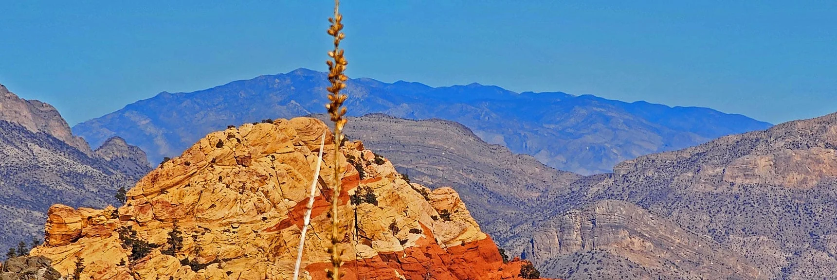 Tip of Rainbow Mountain. Sheep Range Background. | Rainbow Mountains Mid Upper Crest Ridgeline from Lovell Canyon, Nevada