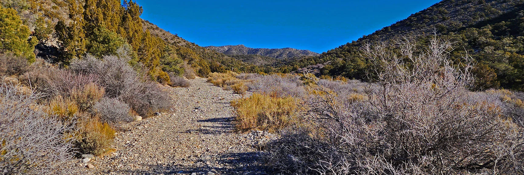 Road Briefly Continues Toward Upper Crest Ridgeline Ahead | Rainbow Mountains Mid Upper Crest Ridgeline from Lovell Canyon, Nevada