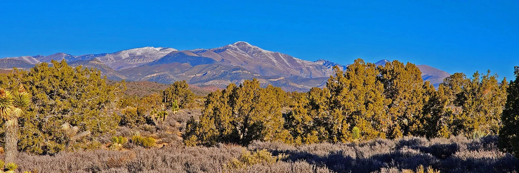 View of Mt. Charleston Wilderness from Canyon Approach | Rainbow Mountains Mid Upper Crest Ridgeline from Lovell Canyon, Nevada