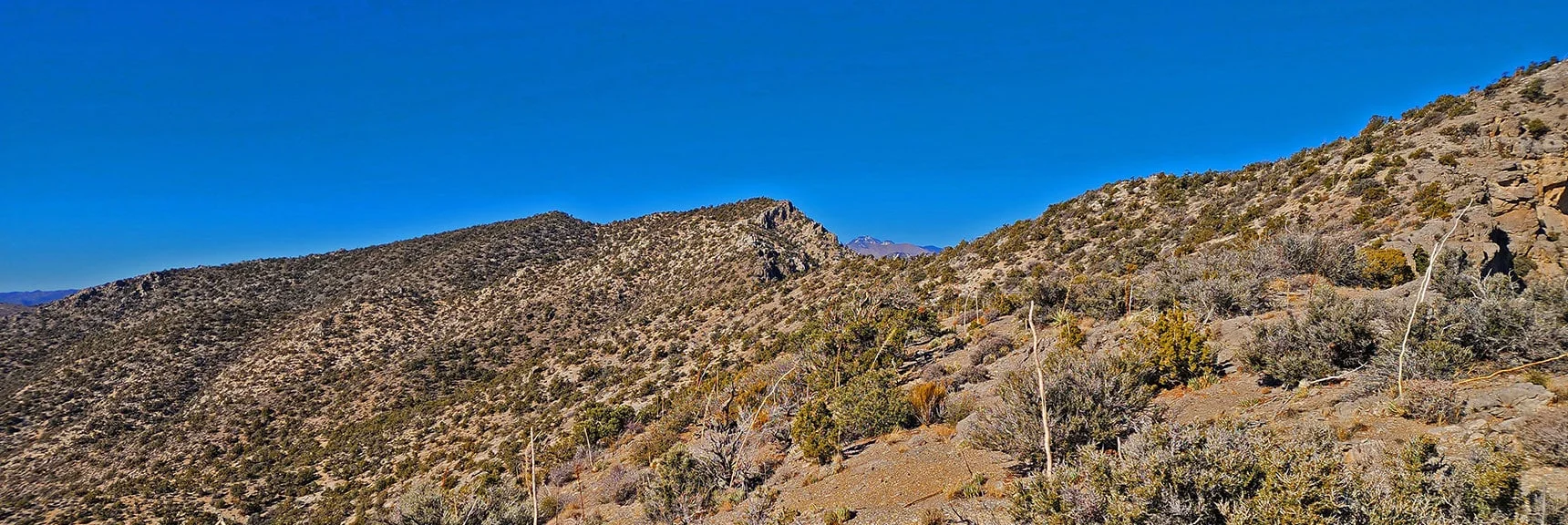 View North As Ridgeline Stretches Toward Rainbow Mt. and Beyond | Rainbow Mountains Mid Upper Crest Ridgeline from Lovell Canyon, Nevada