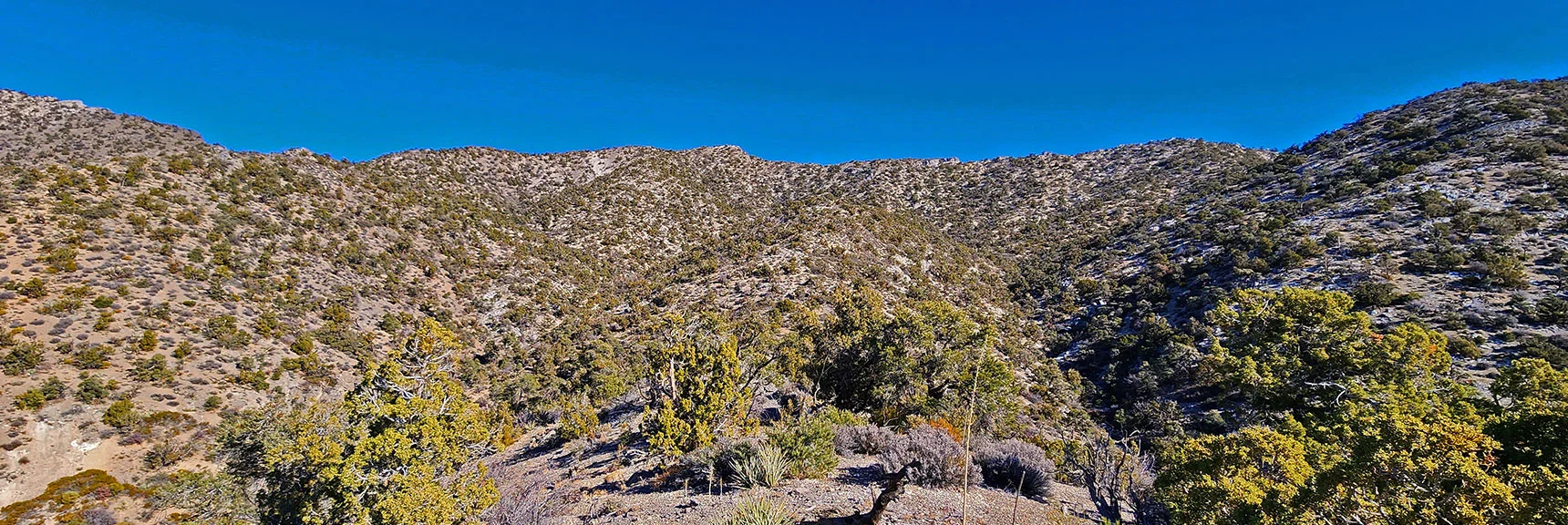 Must Top a Series of Perpendicular Ridges. Straight Course for Ridgeline Summit Point. | Rainbow Mountains Mid Upper Crest Ridgeline from Lovell Canyon, Nevada