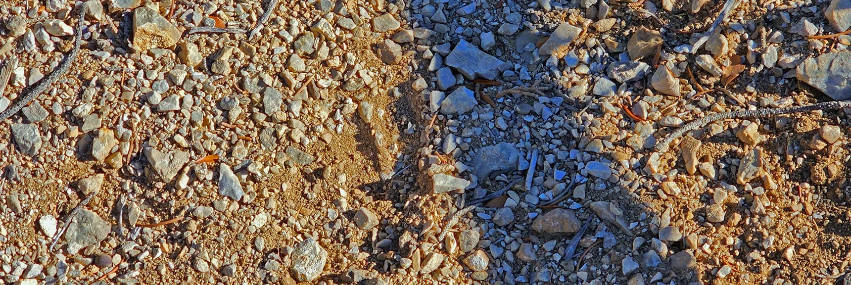 Fellow Climber's Hoof Print (Big Horn Sheep) on Final Approach to Ridgeline | Rainbow Mountains Mid Upper Crest Ridgeline from Lovell Canyon, Nevada
