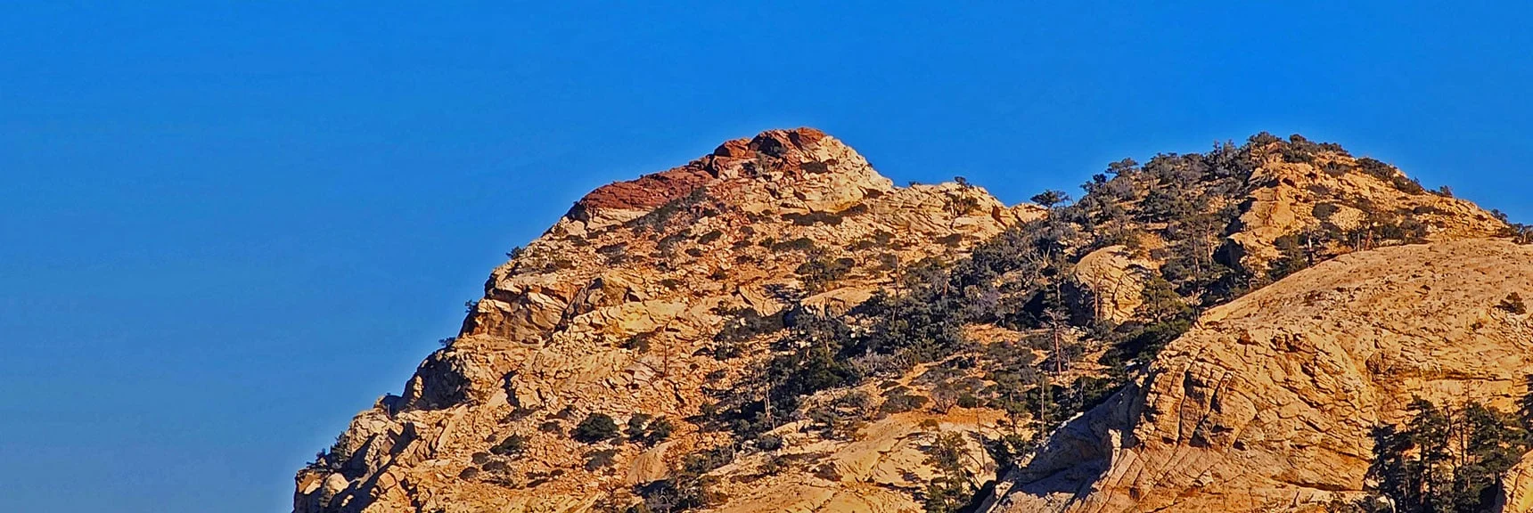 Northern (Highest) Summit of Mt. Wilson. 7,071ft | Rainbow Mountains Mid Upper Crest Ridgeline from Lovell Canyon, Nevada
