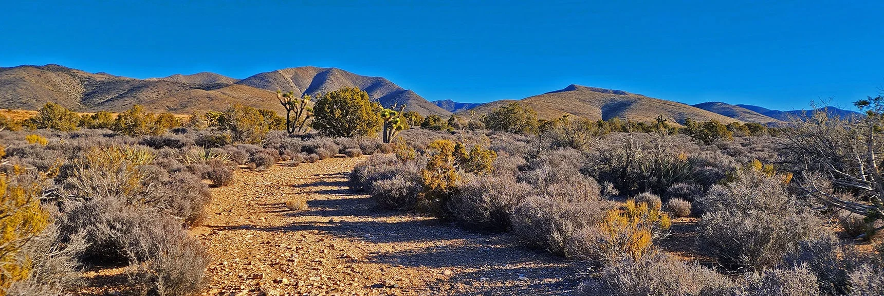 Heading Up Small Unmarked 4WD Road Toward Approach Canyon Opening | Rainbow Mountains Mid Upper Crest Ridgeline from Lovell Canyon, Nevada