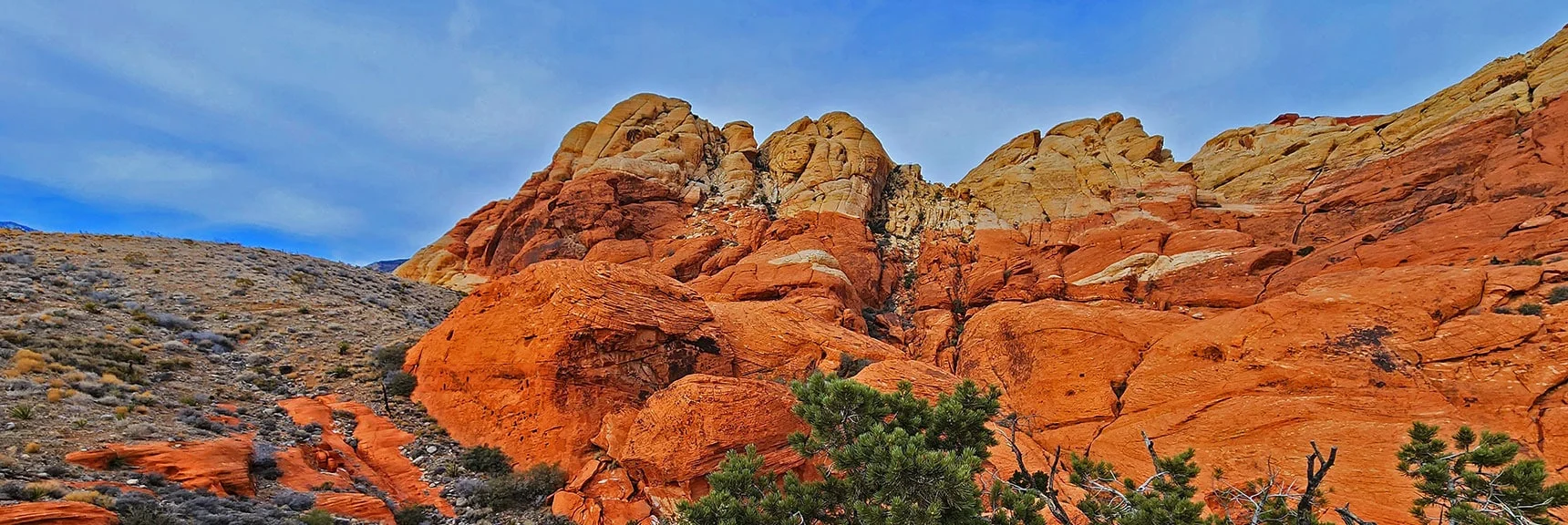 Red Coloring is from Iron Leaching up Through Sand Dunes Before They Froze | Grand Circle Loop | Red Rock Canyon National Conservation Area, Nevada