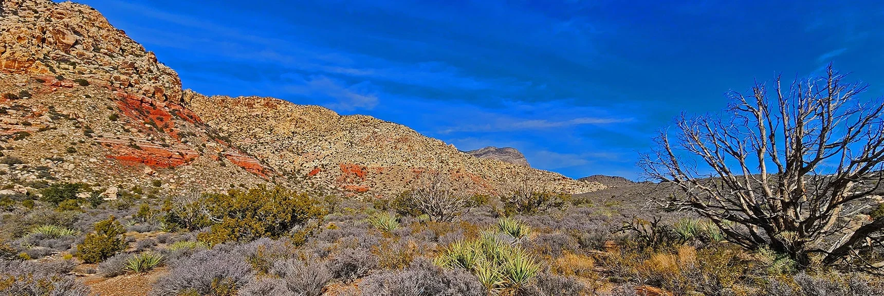 Southeastern Tip of White Rock Mountain | Grand Circle Loop | Red Rock Canyon National Conservation Area, Nevada