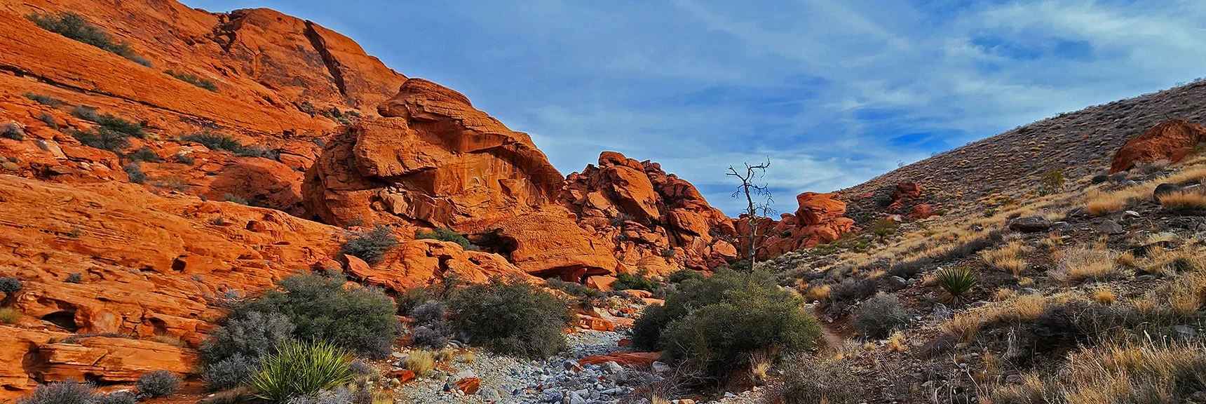 Loop Trail Descends into the Lower Wash | Grand Circle Loop | Red Rock Canyon National Conservation Area, Nevada