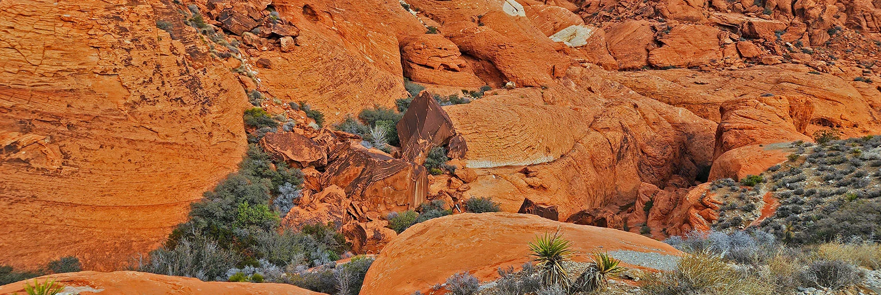 Now We're in the Fiery Aztec Red Frozen Dune Calico Hills | Grand Circle Loop | Red Rock Canyon National Conservation Area, Nevada