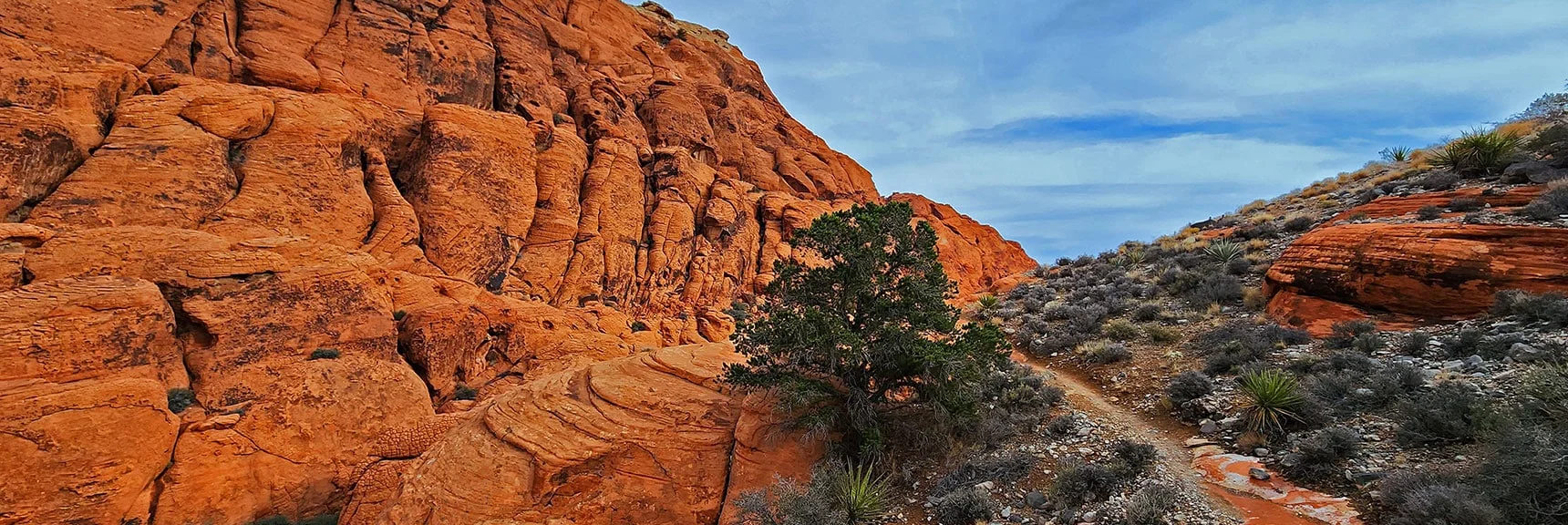 The Vertical Cliffs Make This a World Class Rock Climbing Destination | Grand Circle Loop | Red Rock Canyon National Conservation Area, Nevada
