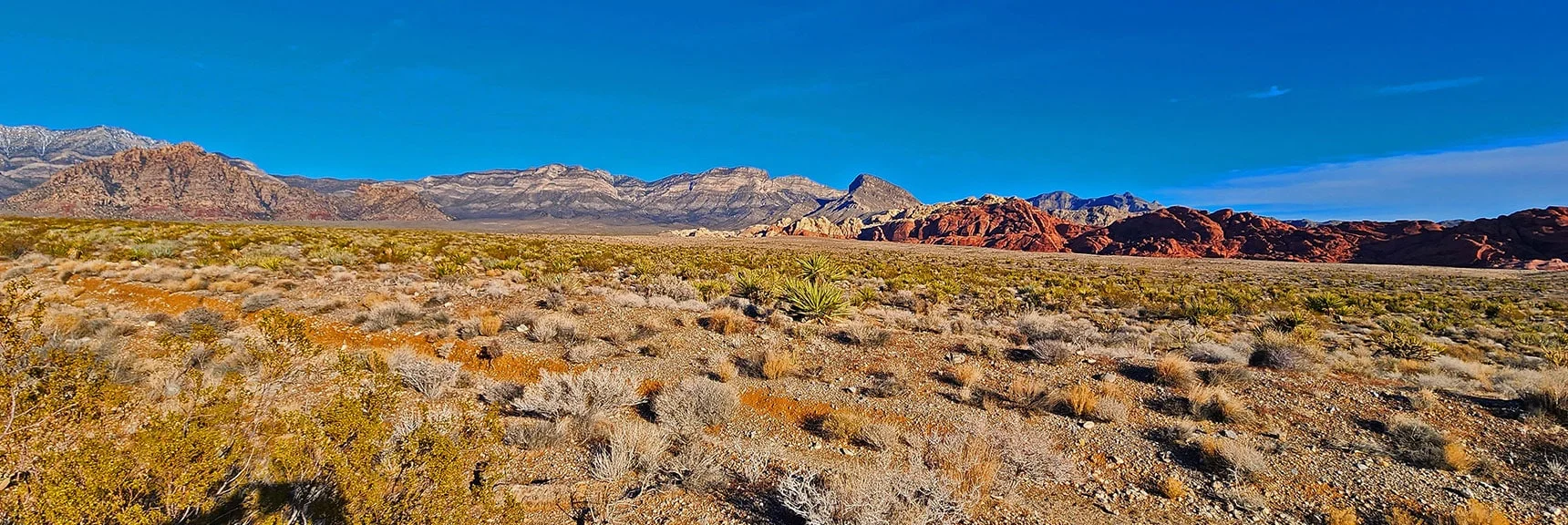 View North Up Red Rock Canyon Toward Keystone Thrust Cliffs | Grand Circle Loop | Red Rock Canyon National Conservation Area, Nevada