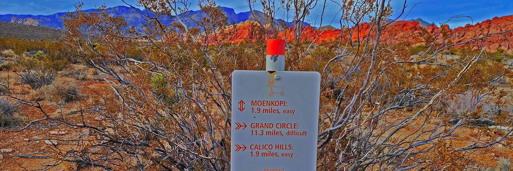 Three Trails from Visitor Center Offer Great Introduction to Red Rock Canyon | Grand Circle Loop | Red Rock Canyon National Conservation Area, Nevada