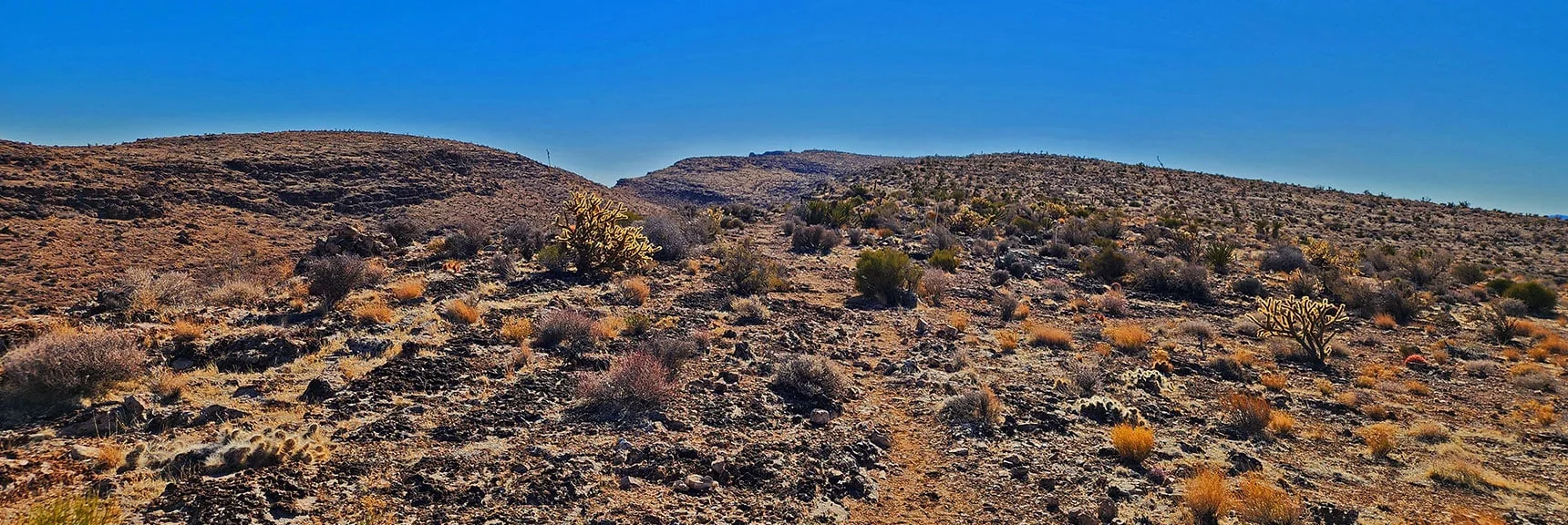 View South Along Eastern Ridgeline Toward Radio Tower. | Eastern Outer Circuit | Blue Diamond Hill | Red Rock Canyon, Nevada