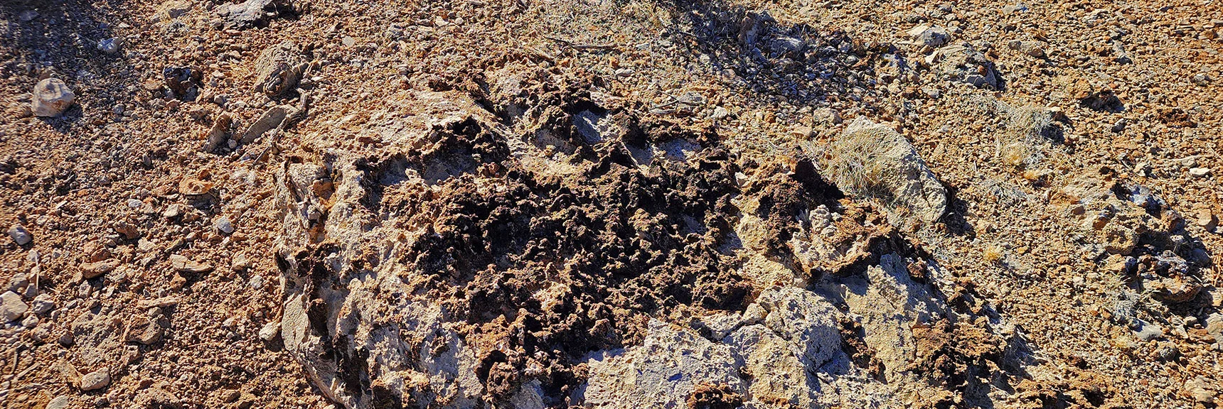 Rock Surface Marked with what Could Be Ancient Sea Life from Ocean Bottom | Eastern Outer Circuit | Blue Diamond Hill | Red Rock Canyon, Nevada