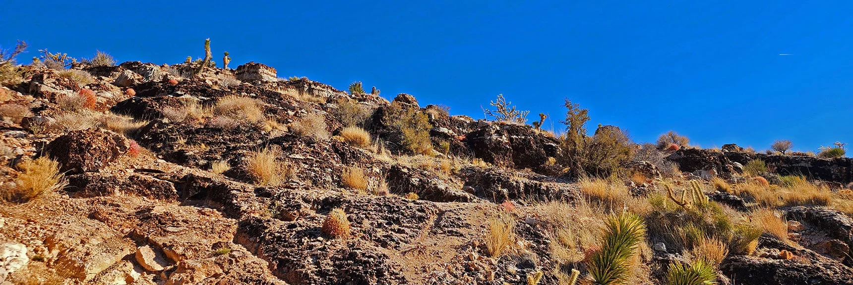 Imagine Riding a Mountain Bike Down This Stretch of Bone Shaker Trail! | Eastern Outer Circuit | Blue Diamond Hill | Red Rock Canyon, Nevada