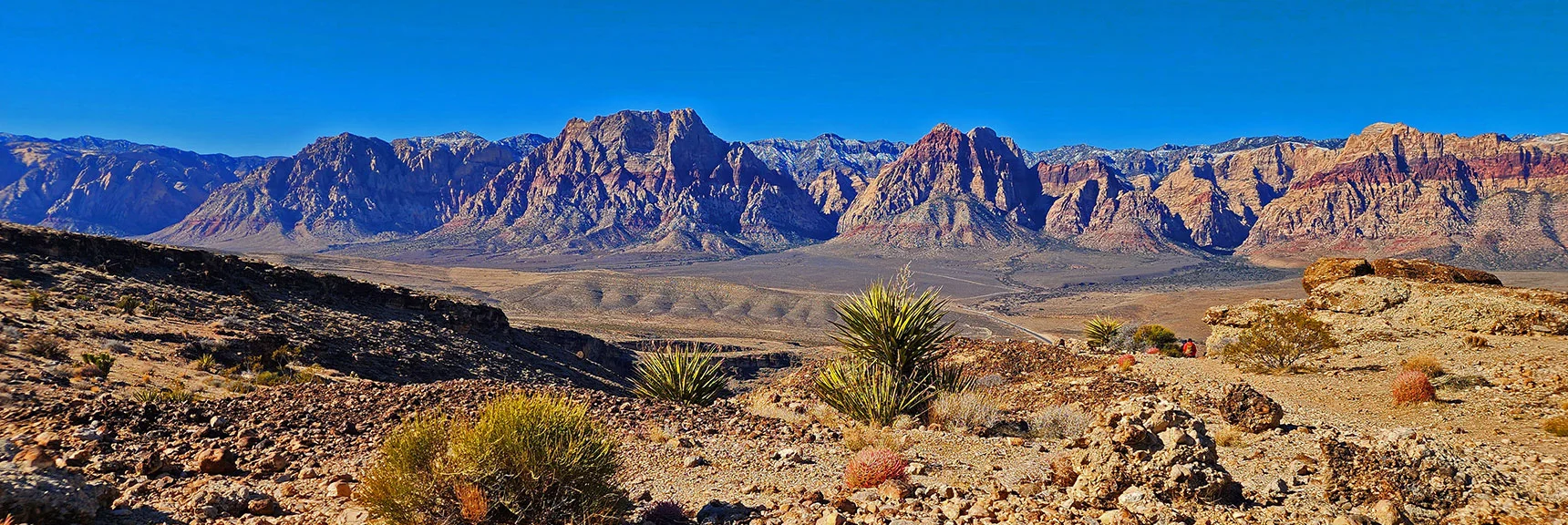 Ridgeline is Like a Rock Garden. Rainbow Mountains Background | Eastern Outer Circuit | Blue Diamond Hill | Red Rock Canyon, Nevada