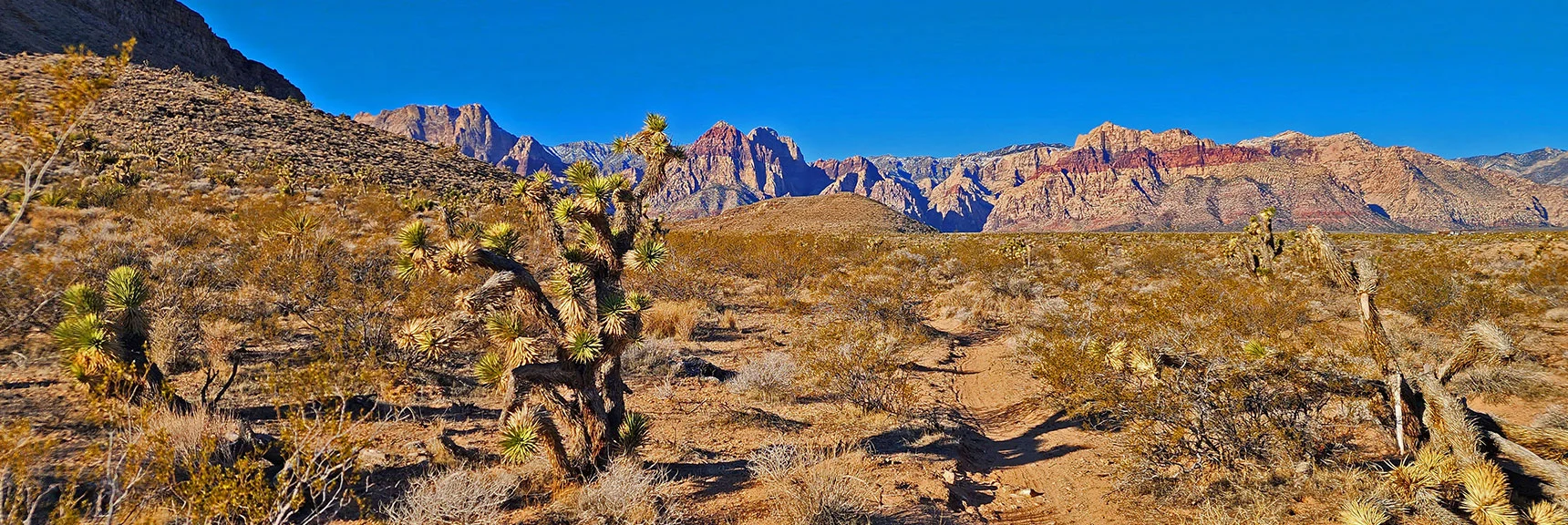 Early Morning Rainbow Mountains View from Southeast of Blue Diamond Hill | Eastern Outer Circuit | Blue Diamond Hill | Red Rock Canyon, Nevada