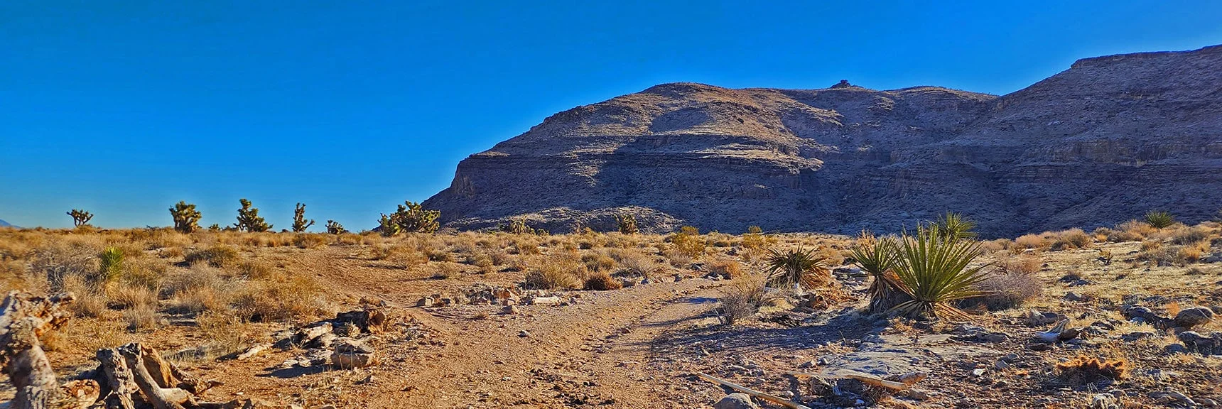 Back at the Main Approach Heading for Bomb Voyage/Muffin Trails | Eastern Outer Circuit | Blue Diamond Hill | Red Rock Canyon, Nevada