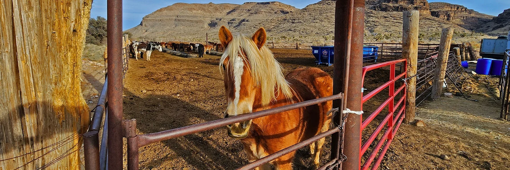 Final Goodbyes | Western Outer Circuit | Blue Diamond Hill | Red Rock Canyon, Nevada