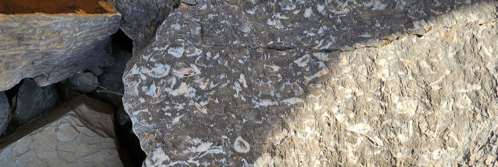 Looks Like an Ancient Lake or Sea Bed | Western Outer Circuit | Blue Diamond Hill | Red Rock Canyon, Nevada