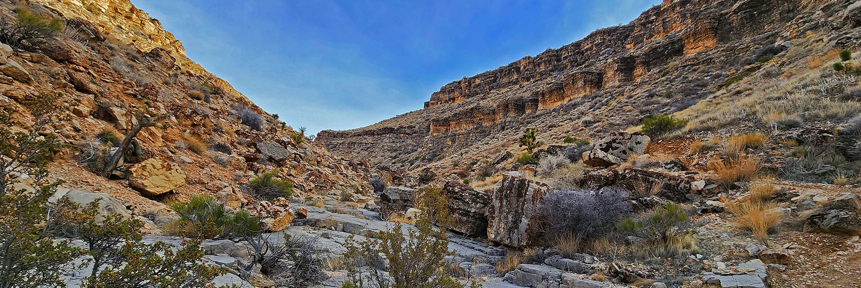 View Back Up Skull Canyon | Western Outer Circuit | Blue Diamond Hill | Red Rock Canyon, Nevada