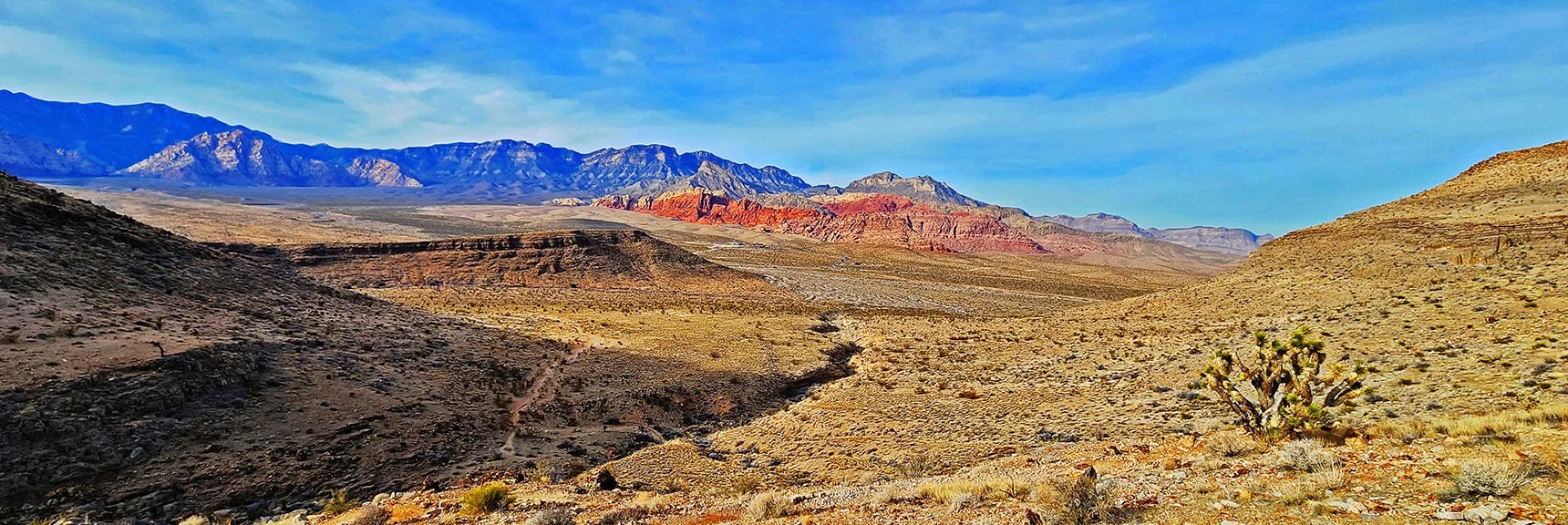 Red Rock Canyon, Keystone Thrust Cliffs Background Through Lower Skull Canyon | Western Outer Circuit | Blue Diamond Hill | Red Rock Canyon, Nevada