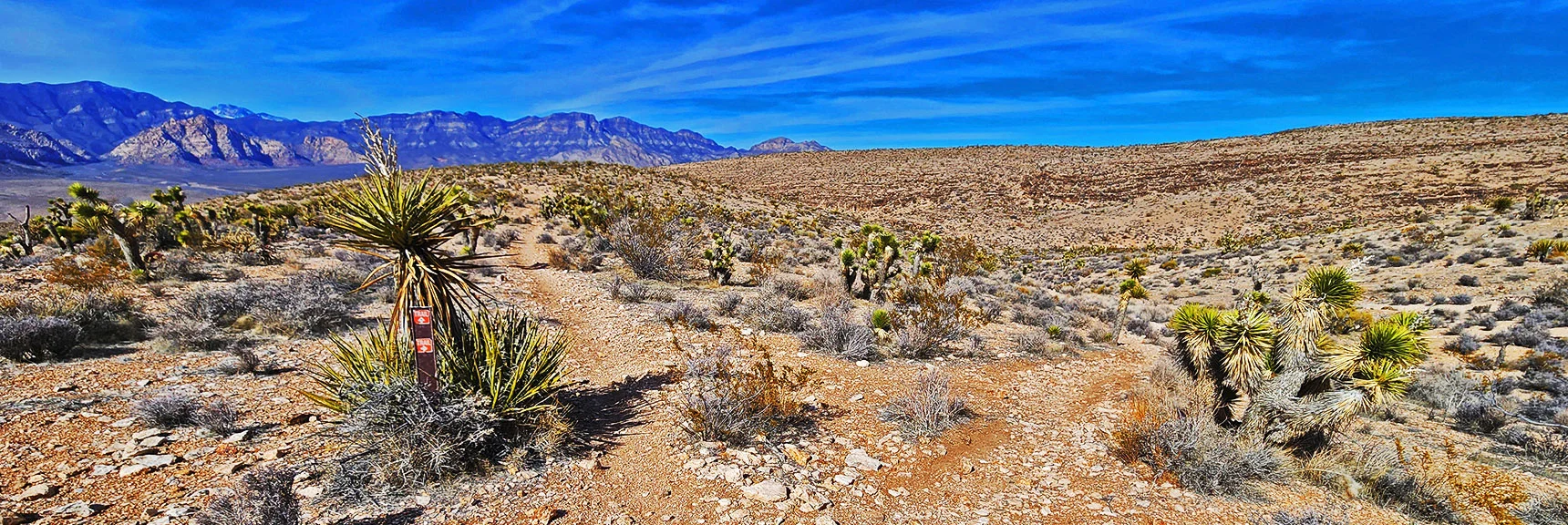 Southern Beginning of Second Finger Loop | Western Trails and Ridges | Blue Diamond Hill | Red Rock Canyon, Nevada