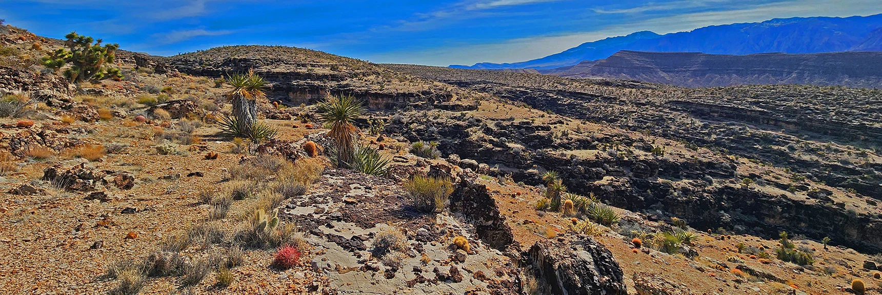 First Finger Ridge & Fossil Ridge to the West of Second Finger Ridge | Western Trails and Ridges | Blue Diamond Hill | Red Rock Canyon, Nevada
