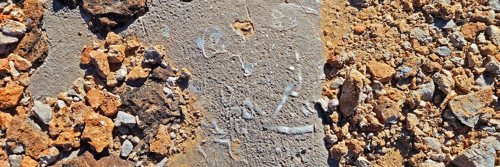 The Fossils on Blue Diamond Hill Are Nearly 450 Million Years Old | Western Trails and Ridges | Blue Diamond Hill | Red Rock Canyon, Nevada