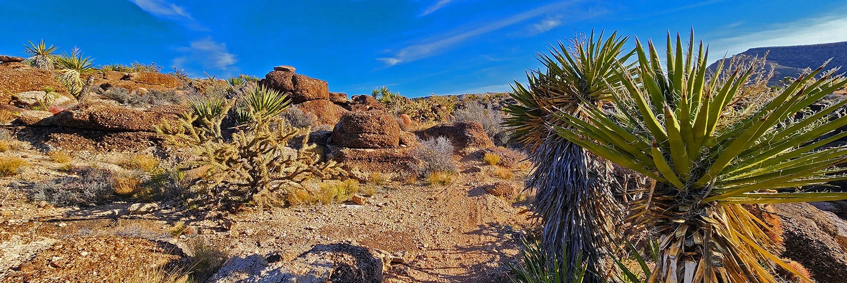 Beginning to Ascend Ridge to Reconnect with Cat in the Hat Trail Above. | Western Trails and Ridges | Blue Diamond Hill | Red Rock Canyon, Nevada